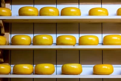 Fromages à pâte dure autorisés pendant la grossesse